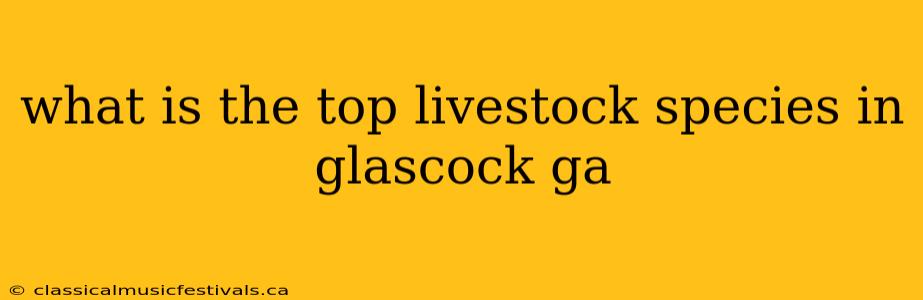 what is the top livestock species in glascock ga