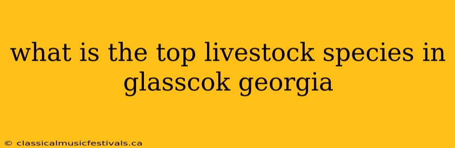 what is the top livestock species in glasscok georgia