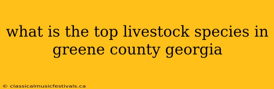 what is the top livestock species in greene county georgia