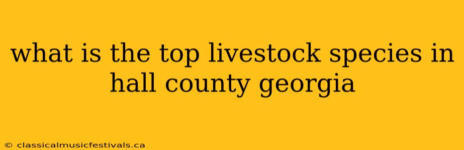 what is the top livestock species in hall county georgia