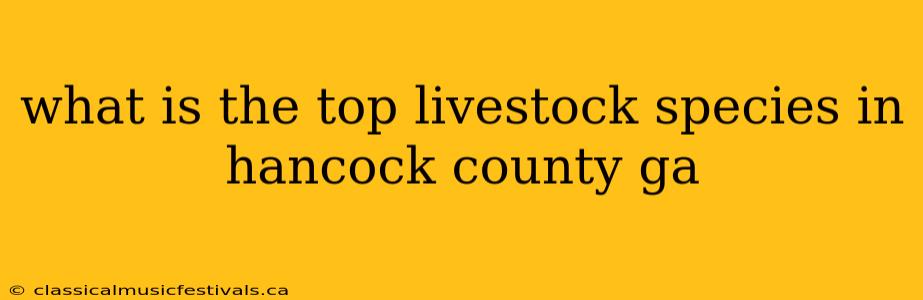 what is the top livestock species in hancock county ga