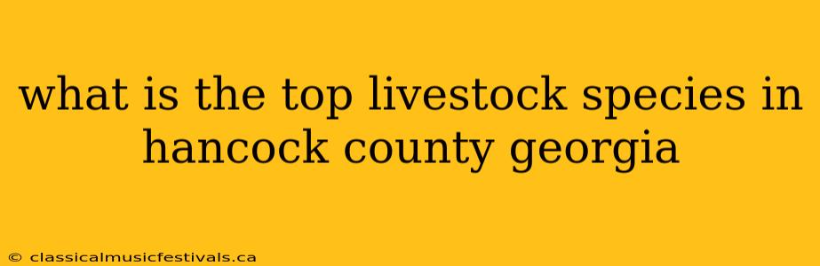 what is the top livestock species in hancock county georgia