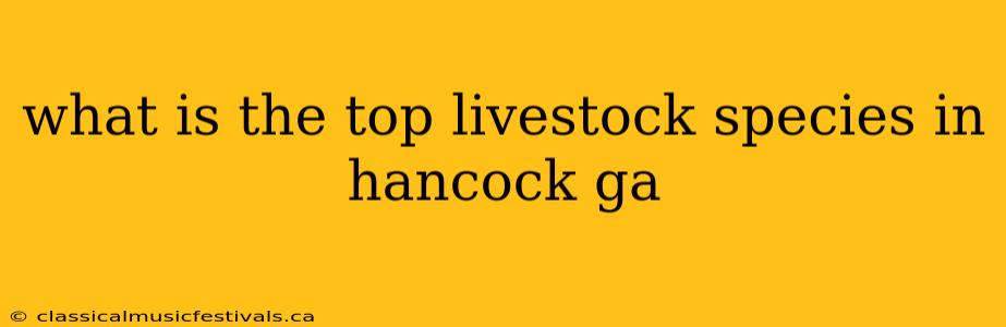 what is the top livestock species in hancock ga