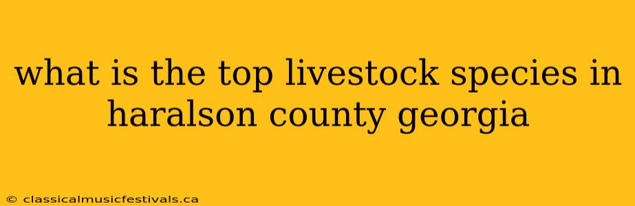 what is the top livestock species in haralson county georgia