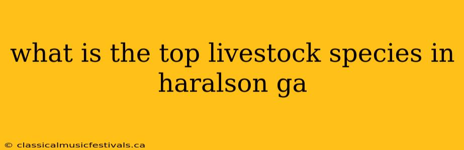 what is the top livestock species in haralson ga