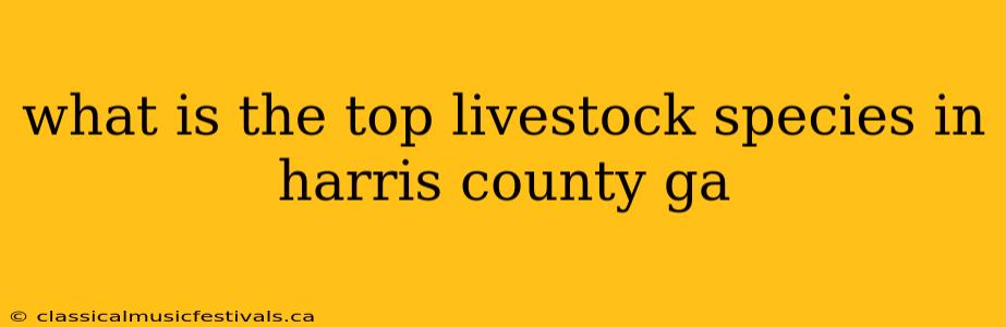 what is the top livestock species in harris county ga