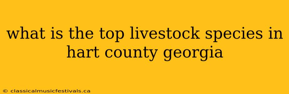 what is the top livestock species in hart county georgia