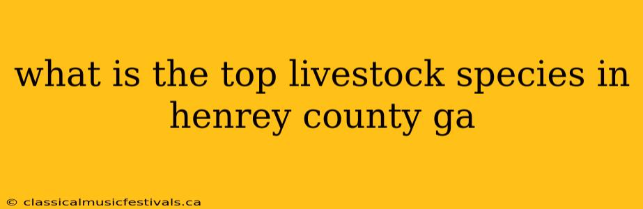 what is the top livestock species in henrey county ga