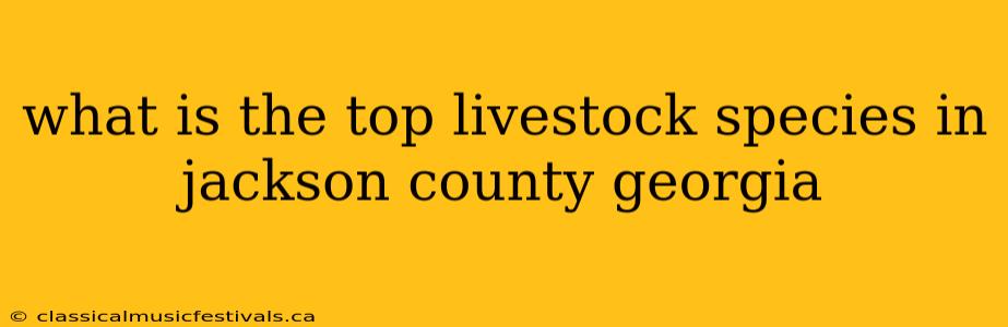 what is the top livestock species in jackson county georgia