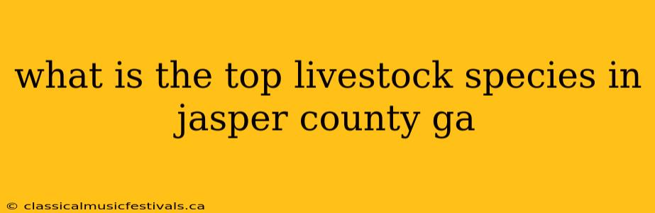 what is the top livestock species in jasper county ga