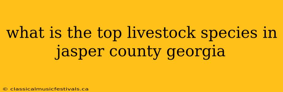 what is the top livestock species in jasper county georgia