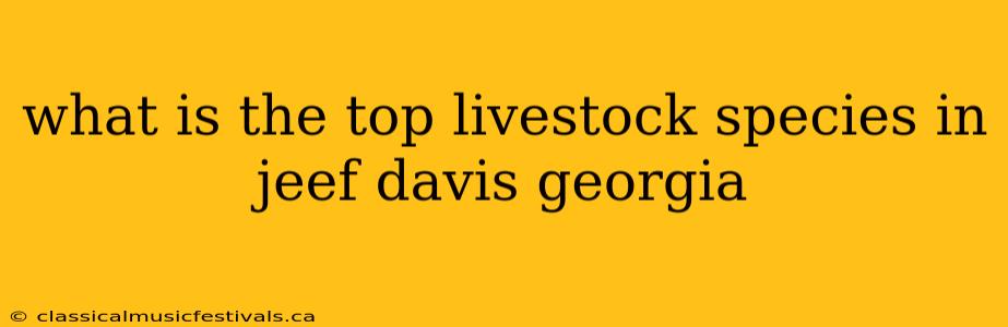 what is the top livestock species in jeef davis georgia