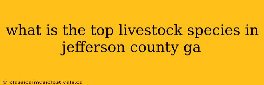 what is the top livestock species in jefferson county ga