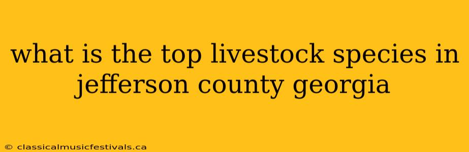 what is the top livestock species in jefferson county georgia