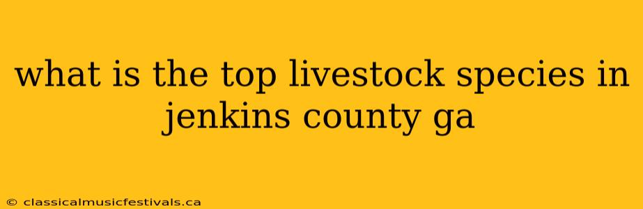 what is the top livestock species in jenkins county ga