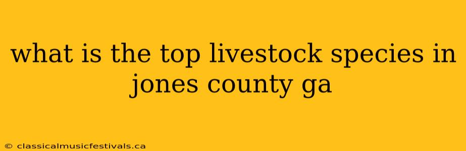 what is the top livestock species in jones county ga