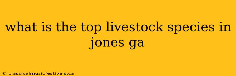 what is the top livestock species in jones ga