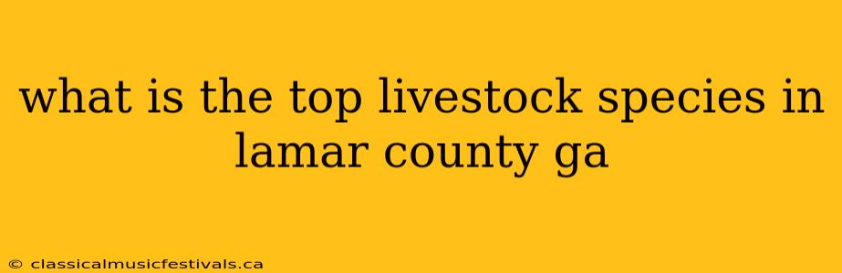 what is the top livestock species in lamar county ga