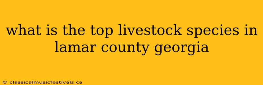 what is the top livestock species in lamar county georgia