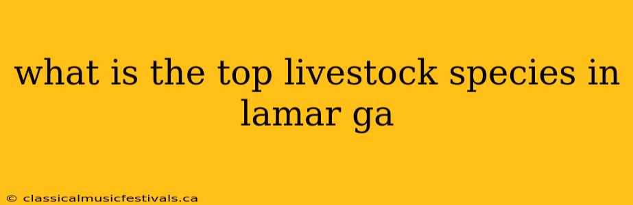 what is the top livestock species in lamar ga