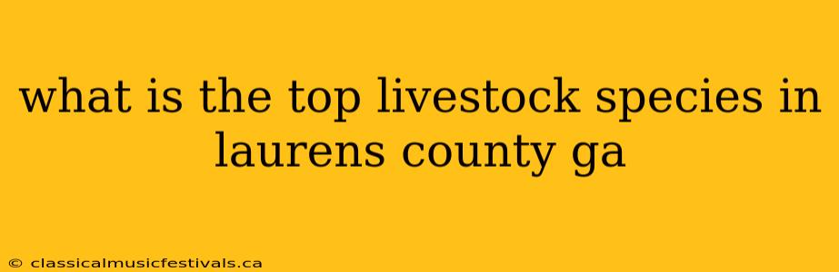 what is the top livestock species in laurens county ga