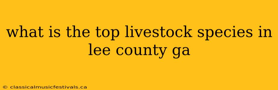 what is the top livestock species in lee county ga