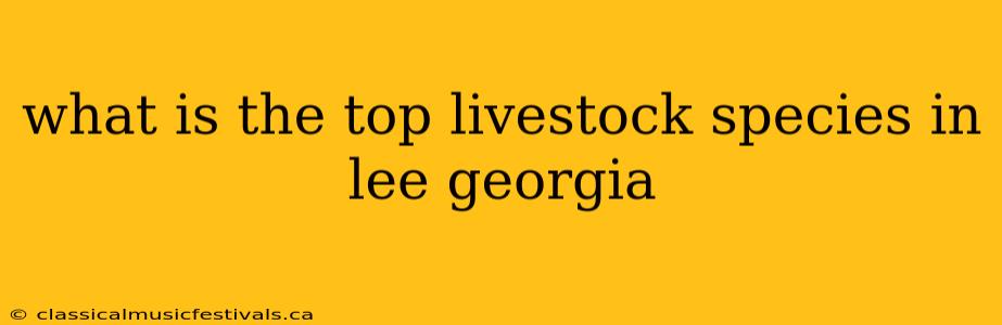 what is the top livestock species in lee georgia