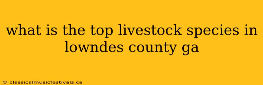 what is the top livestock species in lowndes county ga