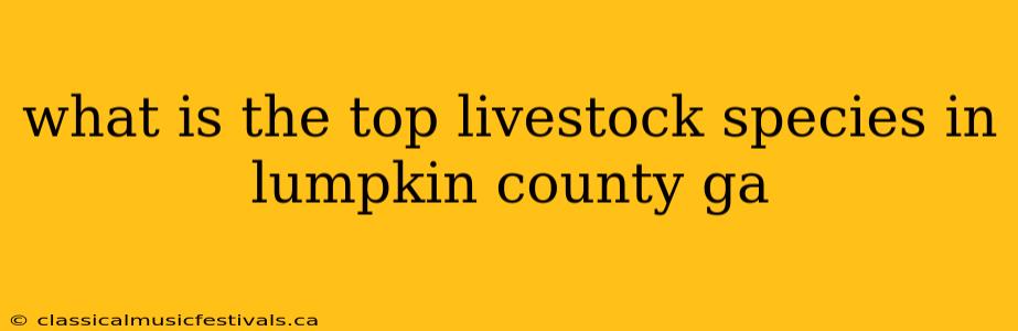 what is the top livestock species in lumpkin county ga