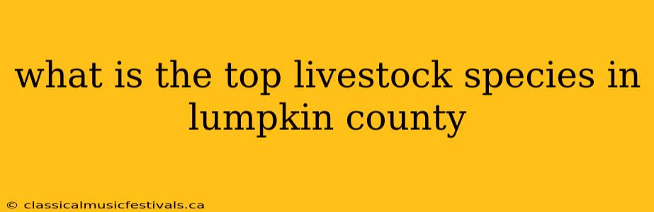 what is the top livestock species in lumpkin county