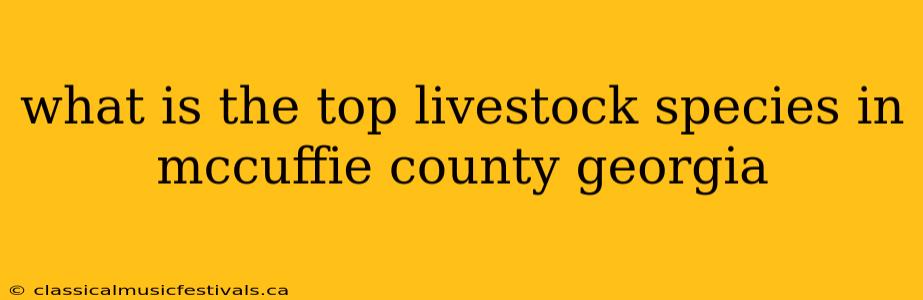 what is the top livestock species in mccuffie county georgia