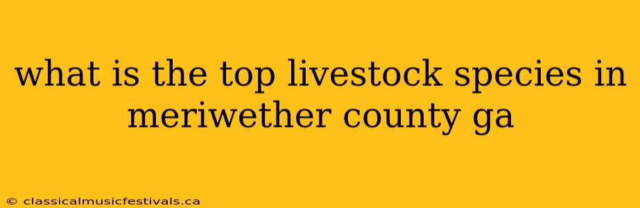 what is the top livestock species in meriwether county ga