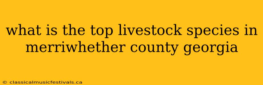 what is the top livestock species in merriwhether county georgia