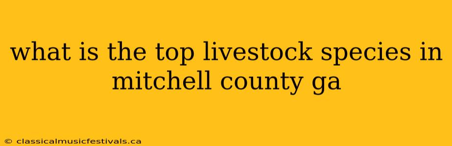 what is the top livestock species in mitchell county ga