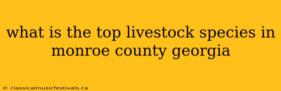 what is the top livestock species in monroe county georgia