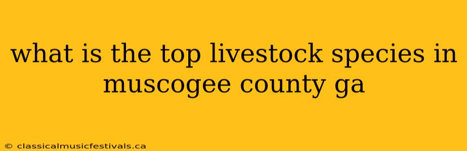 what is the top livestock species in muscogee county ga