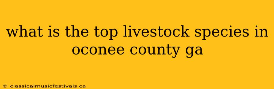 what is the top livestock species in oconee county ga