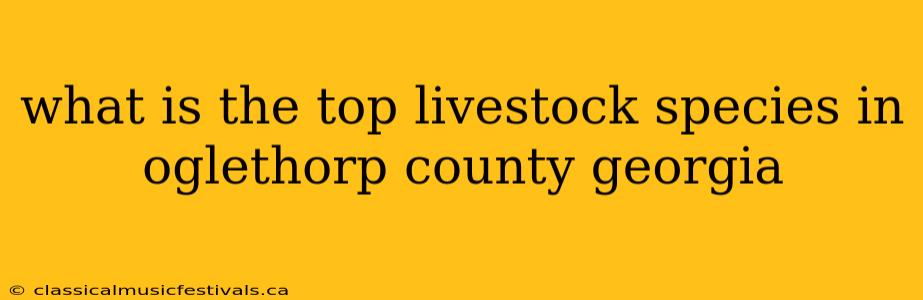 what is the top livestock species in oglethorp county georgia