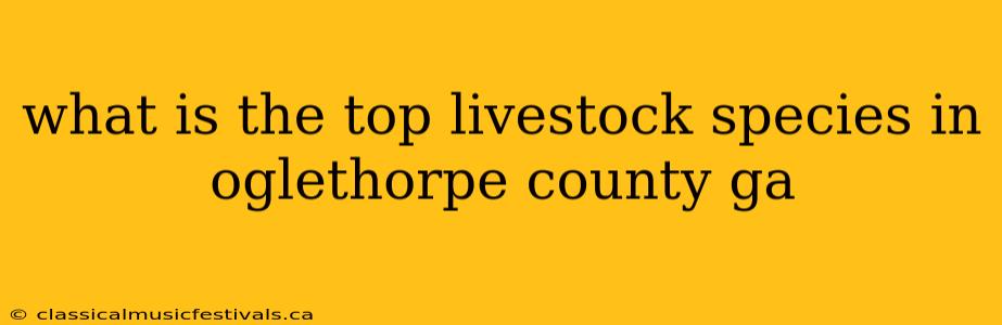 what is the top livestock species in oglethorpe county ga