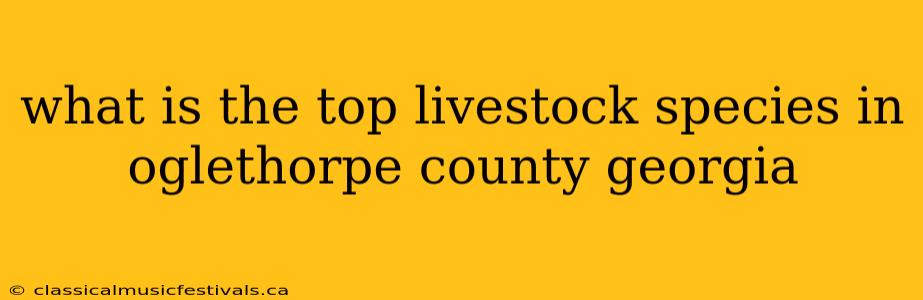 what is the top livestock species in oglethorpe county georgia