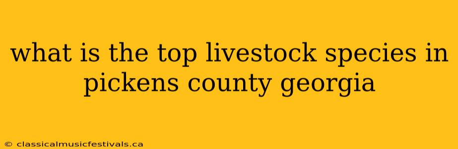 what is the top livestock species in pickens county georgia