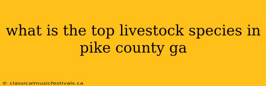 what is the top livestock species in pike county ga