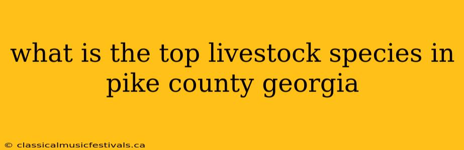 what is the top livestock species in pike county georgia