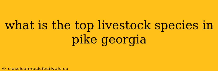 what is the top livestock species in pike georgia