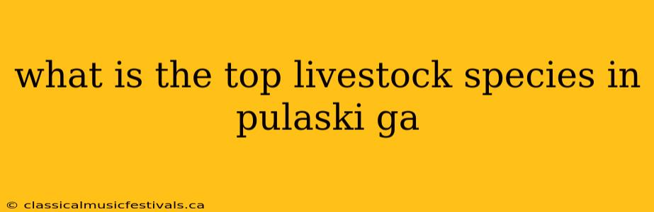 what is the top livestock species in pulaski ga