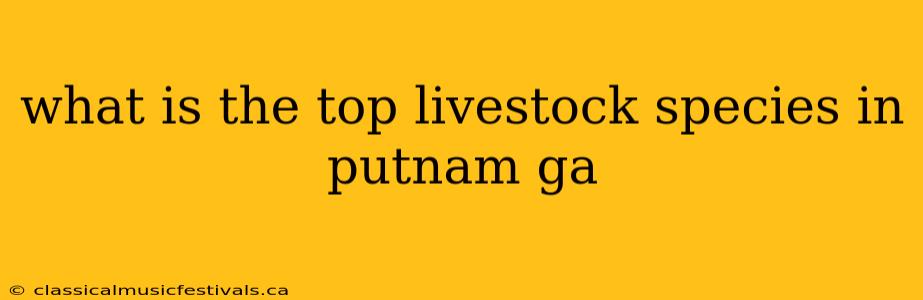 what is the top livestock species in putnam ga