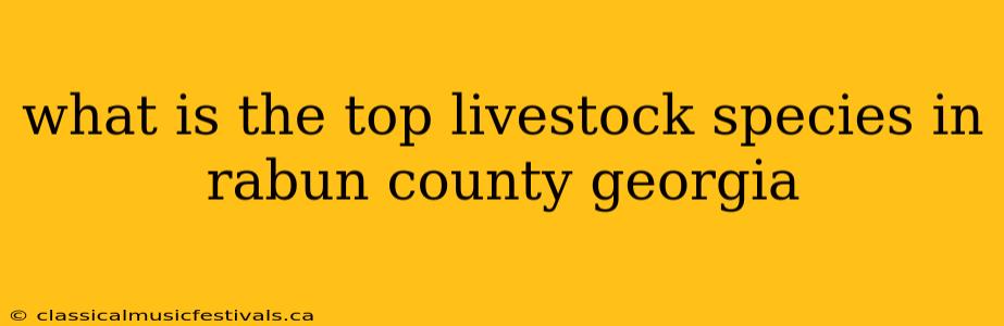 what is the top livestock species in rabun county georgia