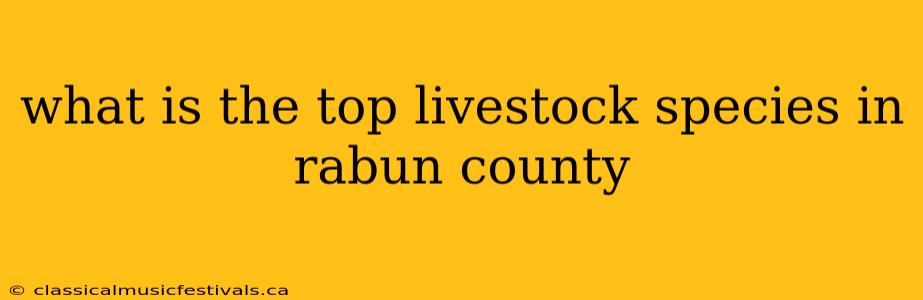 what is the top livestock species in rabun county