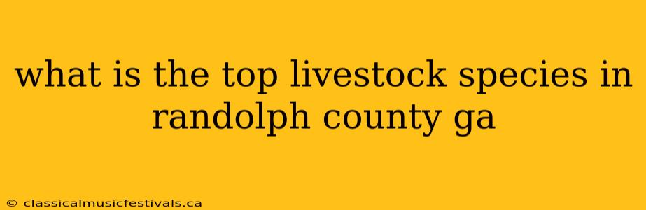 what is the top livestock species in randolph county ga