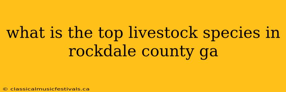 what is the top livestock species in rockdale county ga